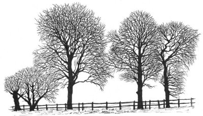 Yet more trees