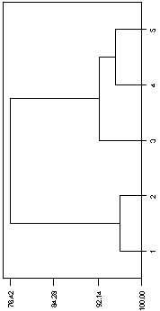 Squared Euclidean distance dendrogram