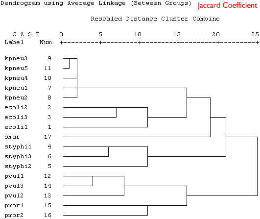 Average linking clustering using the Jaccard coefficient