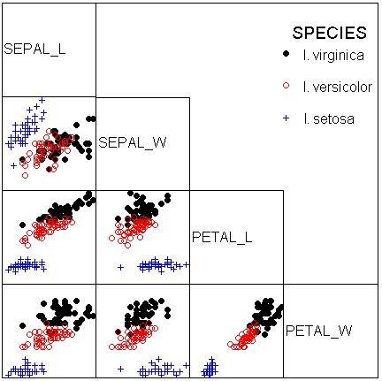 iris matrix plot