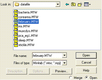 Windows file selection window